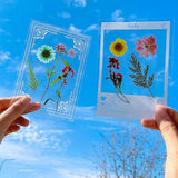 Bloom Frame Stickers  pack of 2