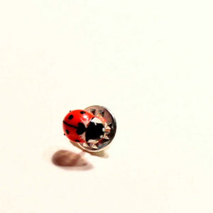 Multi Color Ladybug Pins- Pack of 4