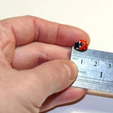 Multi Color Ladybug Pins- Pack of 4