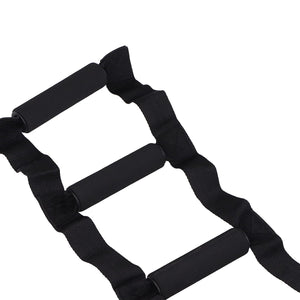 Bed Ladder Assist