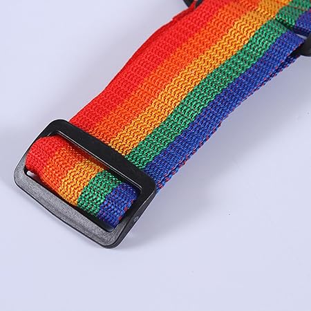 Rainbow Luggage Binder Strap