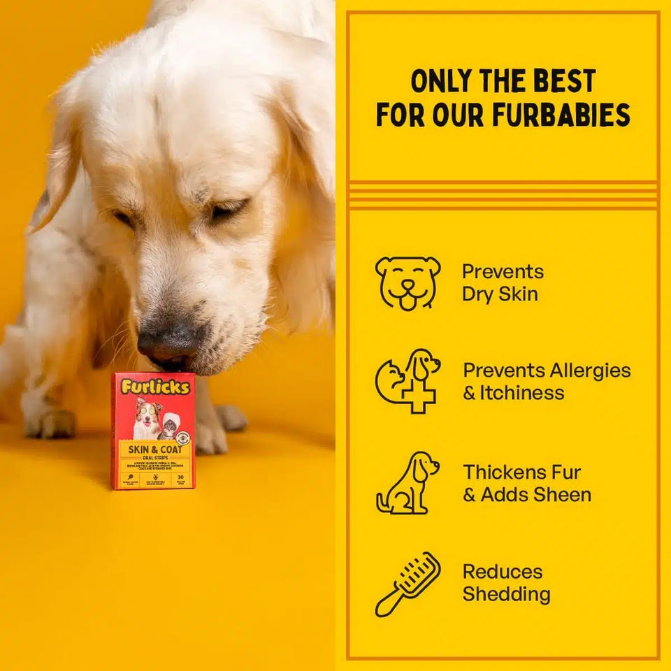 🔥LAST DAY SALE 28 % OFF🔥 Furlicks Skin & Coat Oral Supplement for Dogs & Cats ( pack of 20 )