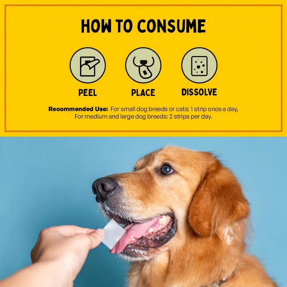🔥LAST DAY SALE 28 % OFF🔥 Furlicks Skin & Coat Oral Supplement for Dogs & Cats ( pack of 20 )
