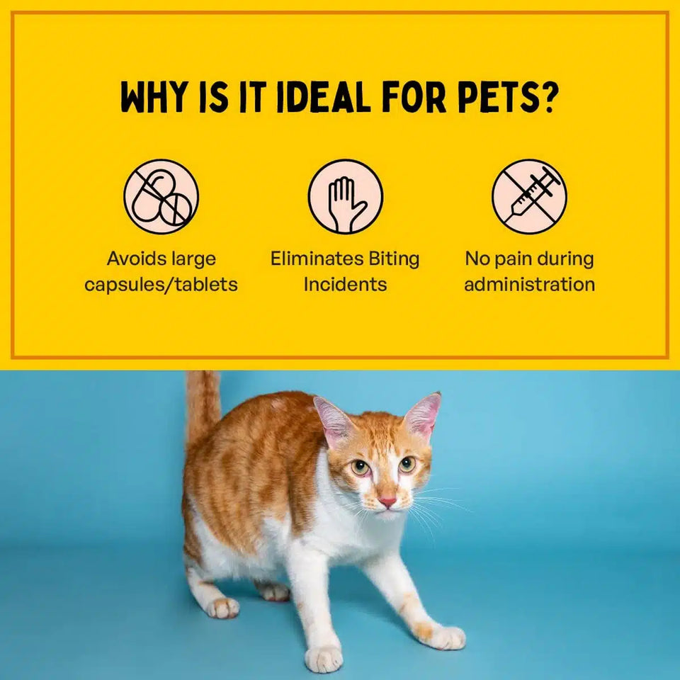 🔥LAST DAY SALE 28 % OFF🔥 Furlicks Skin & Coat Oral Supplement for Dogs & Cats ( pack of 20 )