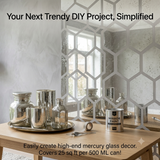 Silver Looking Mirror Paint ( China import )