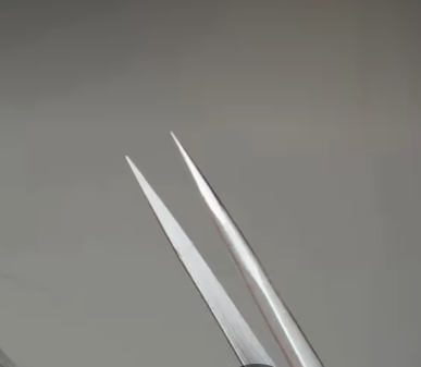 Stainless Steel Pointed Eyelash Tweezers