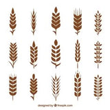 Stencils Wall Painting Pack of 5 In Different Design