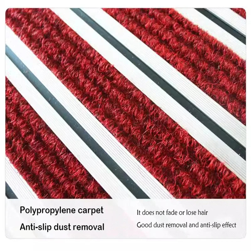 Non-Slip Entrance Door Mat
