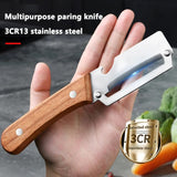 Premium Stainless Steel Multi-Functional Handheld Peeler (Pack of 2 )