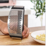Stainless Steel Garlic Press & Crusher