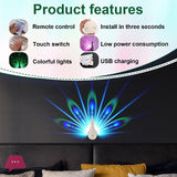 Peacock Colorful Wall Lamp
