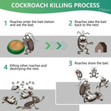 Cockroach Killer Gell🏠💥