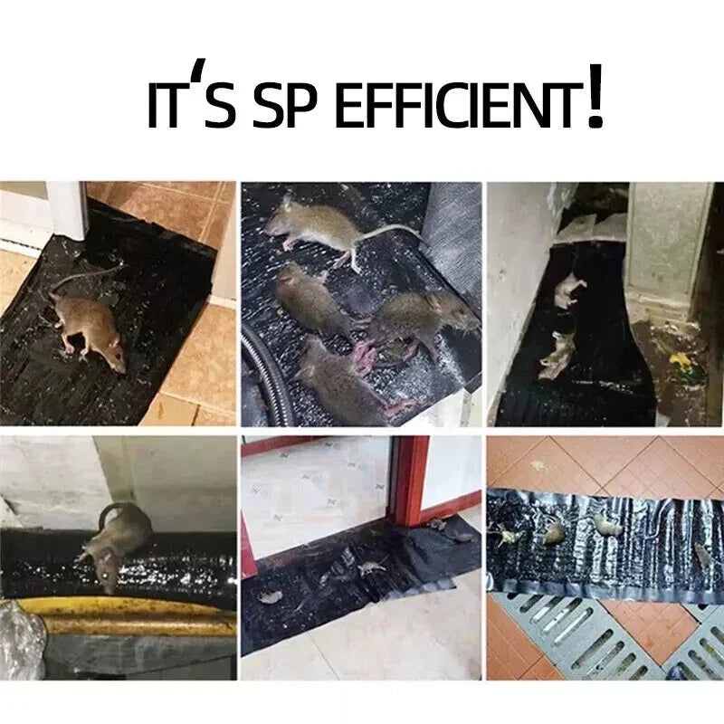 UltraCatch Mouse Trap – Super Sticky Rodent Control